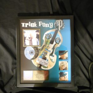 Trick Pony-RIAA Gold Cd award