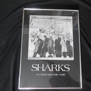 Sharks-Local Lancaster, Pa. - Band-Fully Signed-Framed