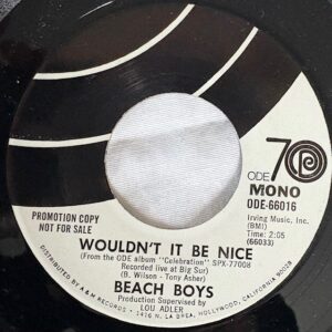 Beach Boys-Wouldn't It Be Nice (Promo-Live Version) Mono/Stereo